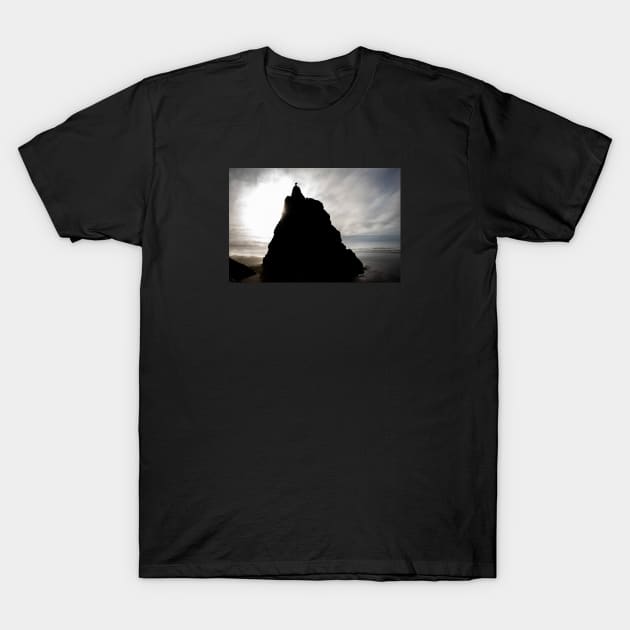 Portland Rocks T-Shirt by Just In Tee Shirts